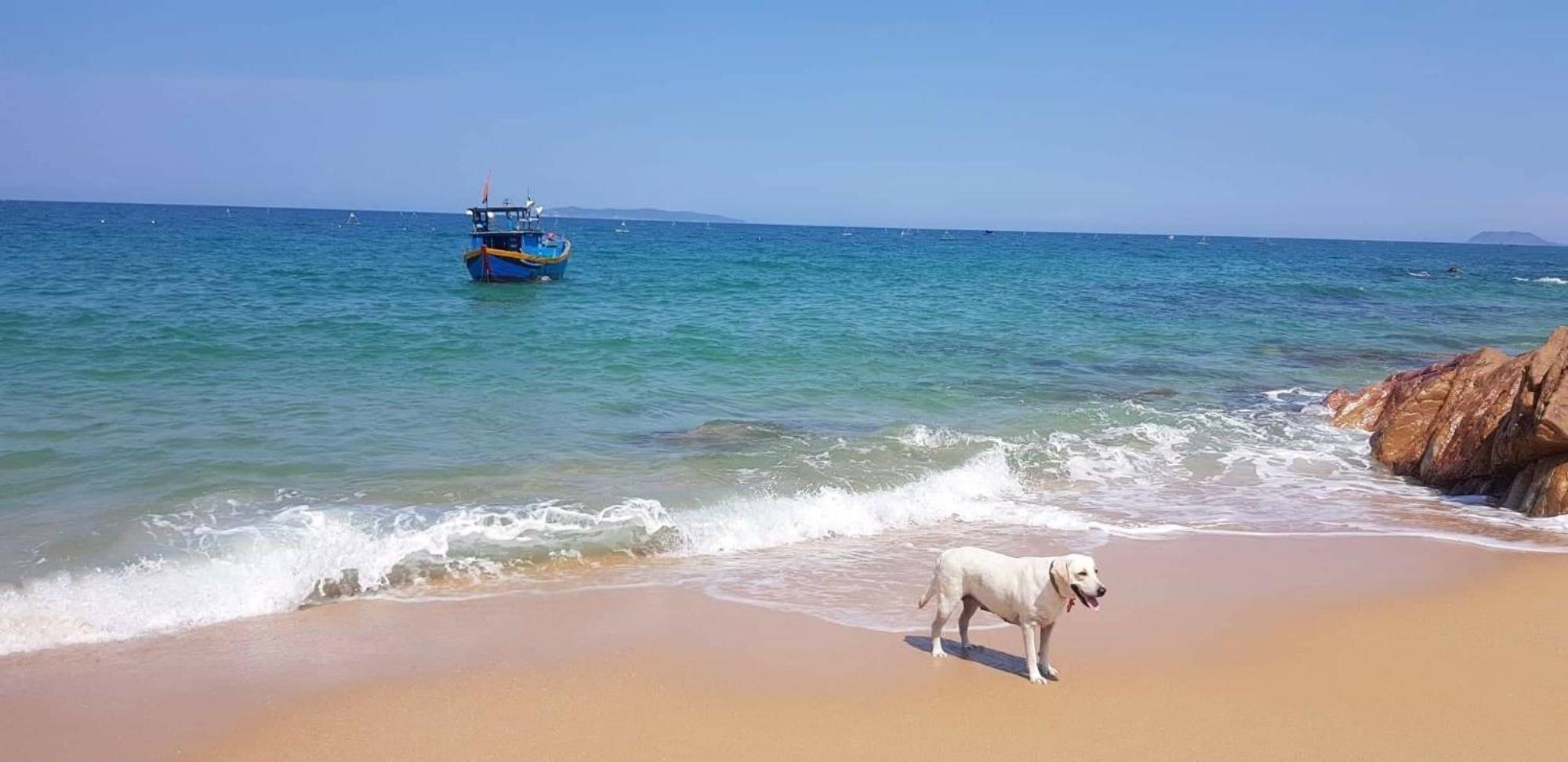 Life'S A Beach Quy Nhơn Zewnętrze zdjęcie